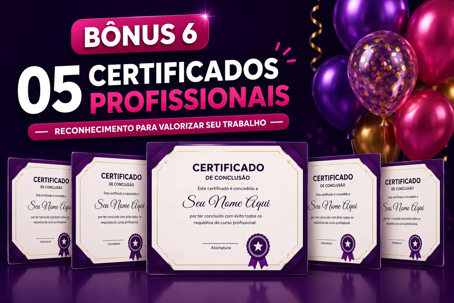 Certificados Profissionais